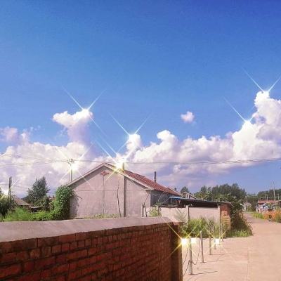 极速赛车游戏手机app下载